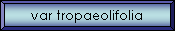 var tropaeolifolia