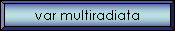 var multiradiata