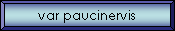 var paucinervis