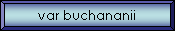 var buchananii