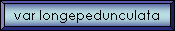 var longepedunculata