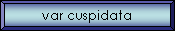 var cuspidata