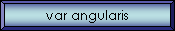 var angularis