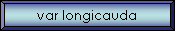 var longicauda