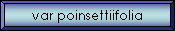 var poinsettiifolia