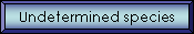 Undetermined species